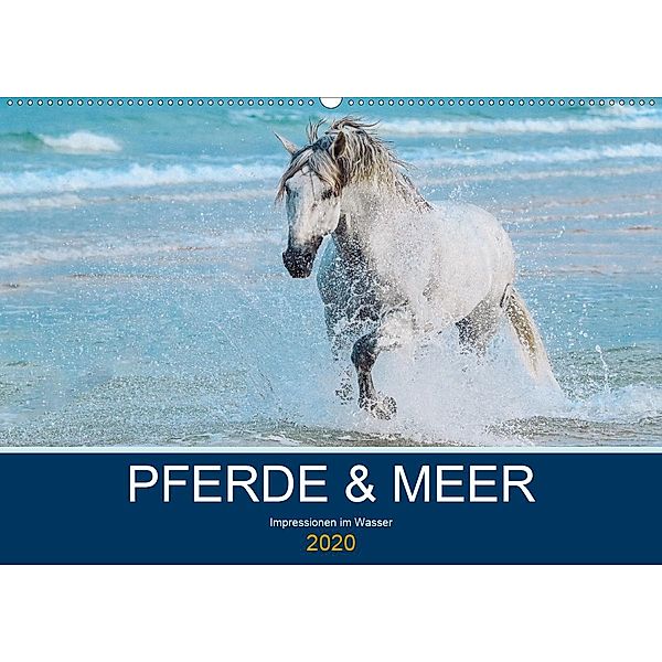 PFERDE & MEER (Wandkalender 2020 DIN A2 quer), Petra Eckerl Tierfotografie