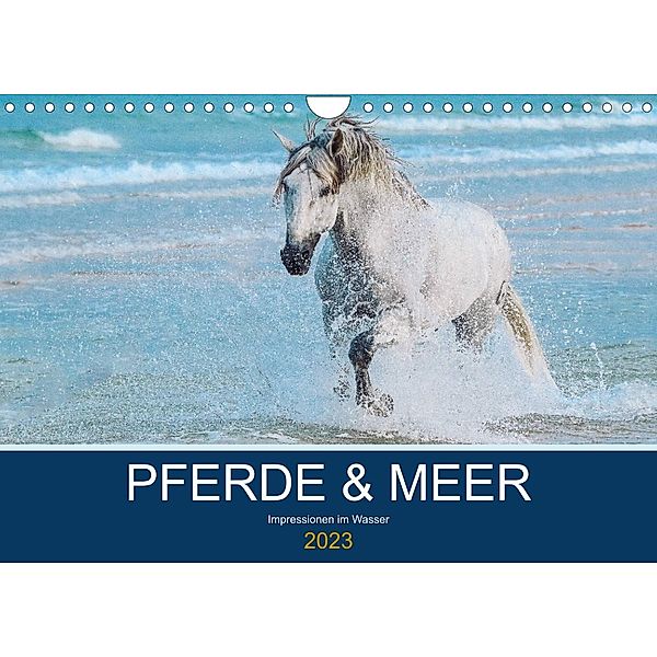 PFERDE & MEER (Wandkalender 2023 DIN A4 quer), Petra Eckerl Tierfotografie