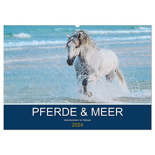 PFERDE & MEER (Wandkalender 2024 DIN A2 quer), CALVENDO Monatskalender, Petra Eckerl Tierfotografie