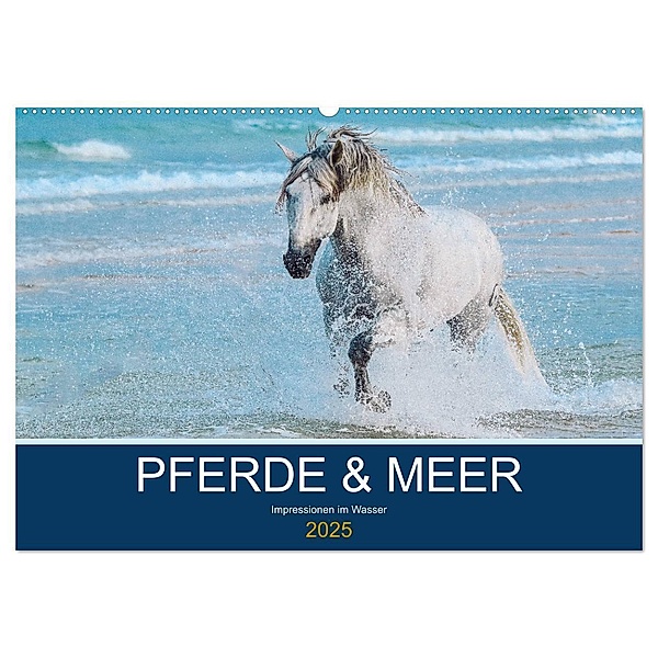 PFERDE & MEER (Wandkalender 2025 DIN A2 quer), CALVENDO Monatskalender, Calvendo, Petra Eckerl Tierfotografie