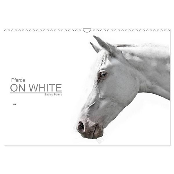 Pferde ON WHITE (Wandkalender 2024 DIN A3 quer), CALVENDO Monatskalender, Sabine Peters