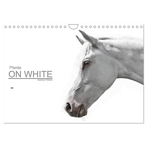 Pferde ON WHITE (Wandkalender 2024 DIN A4 quer), CALVENDO Monatskalender, Sabine Peters
