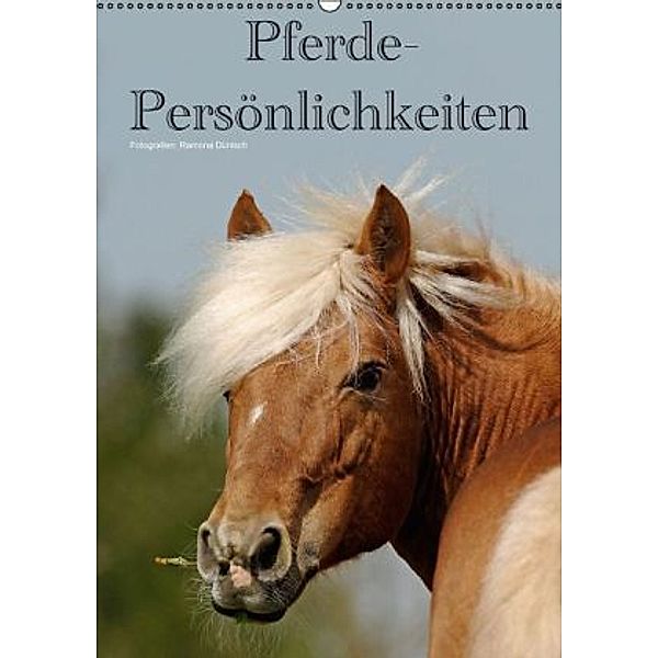 Pferde-Persönlichkeiten - ausdrucksstarke Gesichter verschiedener Pferderassen (Wandkalender 2015 DIN A2 hoch), Ramona Dünisch