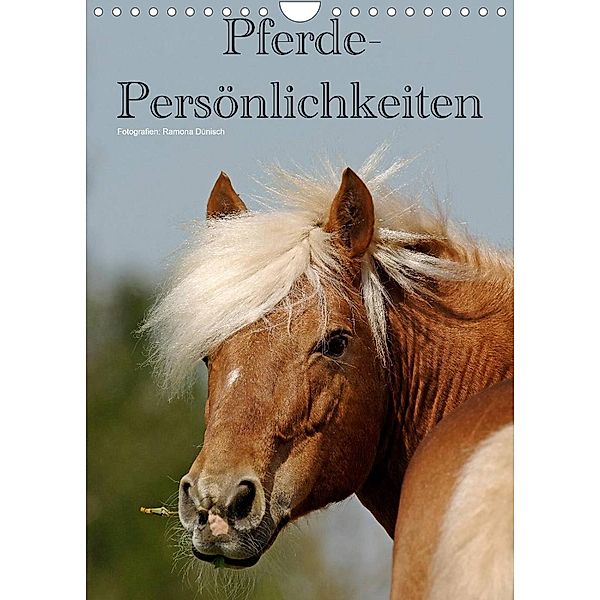 Pferde-Persönlichkeiten - ausdrucksstarke Gesichter verschiedener Pferderassen (Wandkalender 2023 DIN A4 hoch), Ramona Dünisch - www.Ramona-Duenisch.de