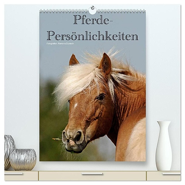 Pferde-Persönlichkeiten - ausdrucksstarke Gesichter verschiedener Pferderassen (hochwertiger Premium Wandkalender 2024 DIN A2 hoch), Kunstdruck in Hochglanz, Ramona Dünisch - www.Ramona-Duenisch.de