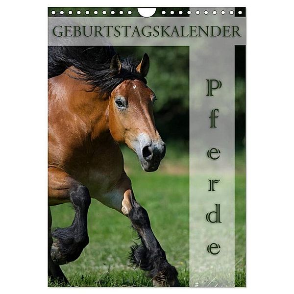 Pferde / Planer (Wandkalender 2024 DIN A4 hoch), CALVENDO Monatskalender, Nicole Noack