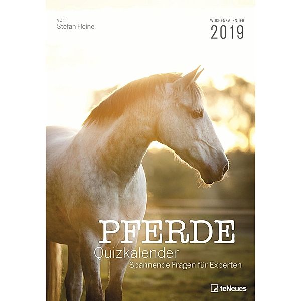 Pferde-Quiz 2019, Stefan Heine
