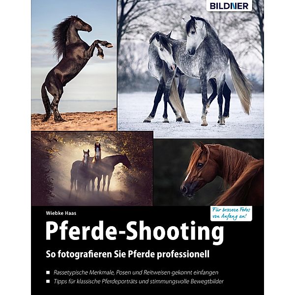 Pferde-Shooting, Wiebke Haas