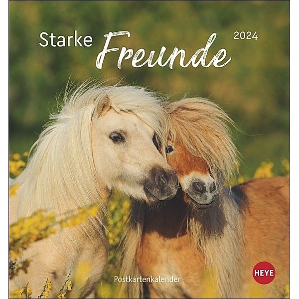 Pferde - Starke Freunde Postkartenkalender 2024. Pferdefotografin Sabine Stuewer setzt die edlen Tiere in einem kleinen Kalender perfekt in Szene. Hochwertiger Postkarten-Fotokalender., Pferde - Starke Freunde Postkartenkalender 2024. Pferdefotografin Sabine Stuewer setzt die edlen Tiere in einem kleinen