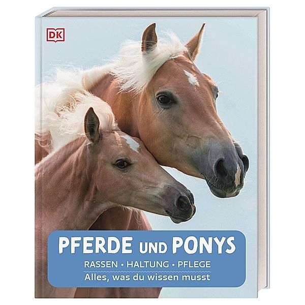 Pferde und Ponys