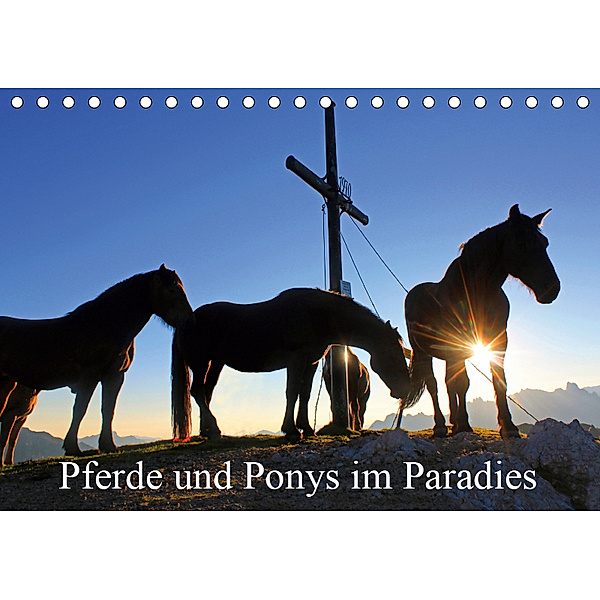 Pferde und Ponys im Paradies (Tischkalender 2019 DIN A5 quer), Christa Kramer