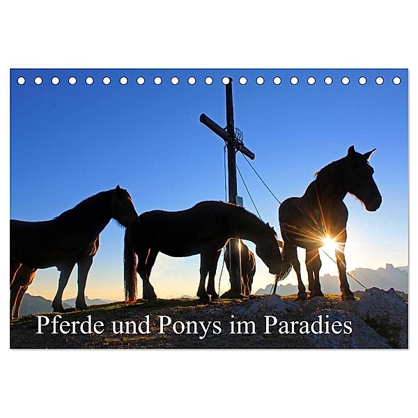 Pferde und Ponys im Paradies (Tischkalender 2024 DIN A5 quer), CALVENDO Monatskalender, Christa Kramer