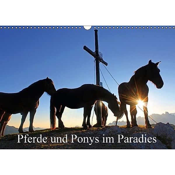 Pferde und Ponys im Paradies (Wandkalender 2017 DIN A3 quer), Christa Kramer