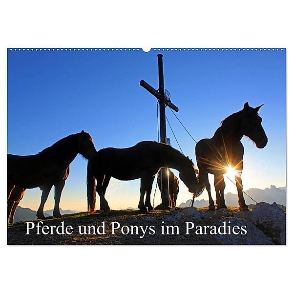 Pferde und Ponys im Paradies (Wandkalender 2024 DIN A2 quer), CALVENDO Monatskalender, Christa Kramer