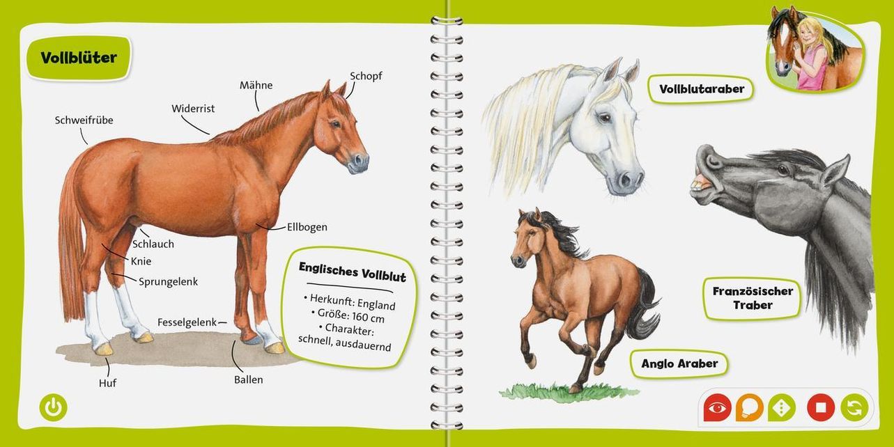 Pferde und Ponys Pocket Wissen tiptoi® Bd.4 Buch versandkostenfrei