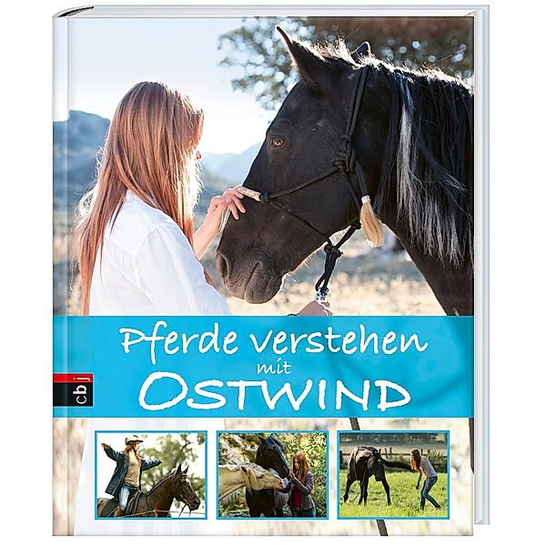 Pferde verstehen mit Ostwind / Ostwind Sachbücher Bd.1, Almut Schmidt