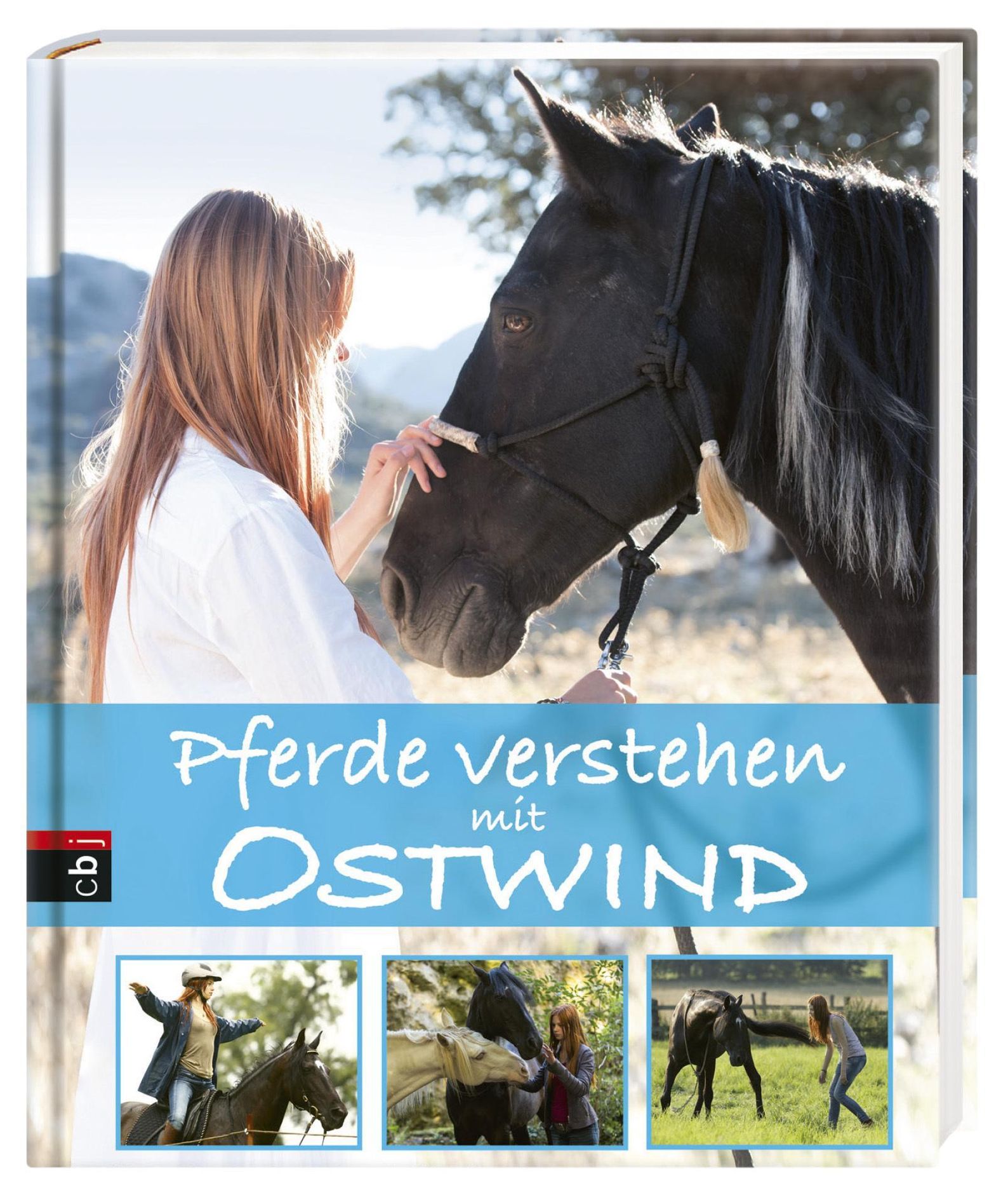 Pferde verstehen mit Ostwind Ostwind Sachbücher Bd.1 Buch