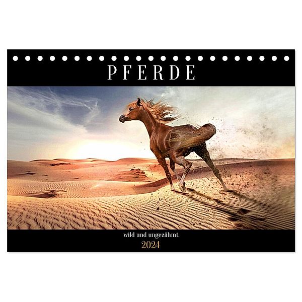 Pferde - wild und ungezähmt (Tischkalender 2024 DIN A5 quer), CALVENDO Monatskalender, Renate Utz