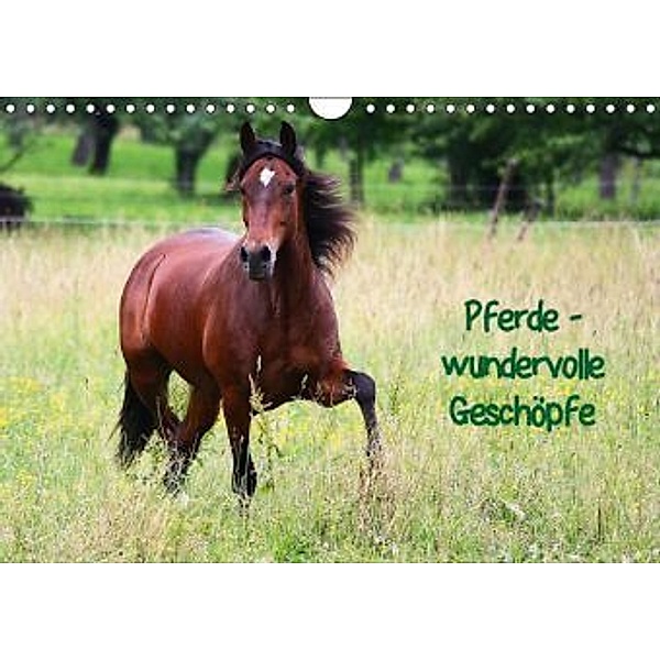 Pferde - wundervolle Geschöpfe (Wandkalender 2016 DIN A4 quer), Anja Blum