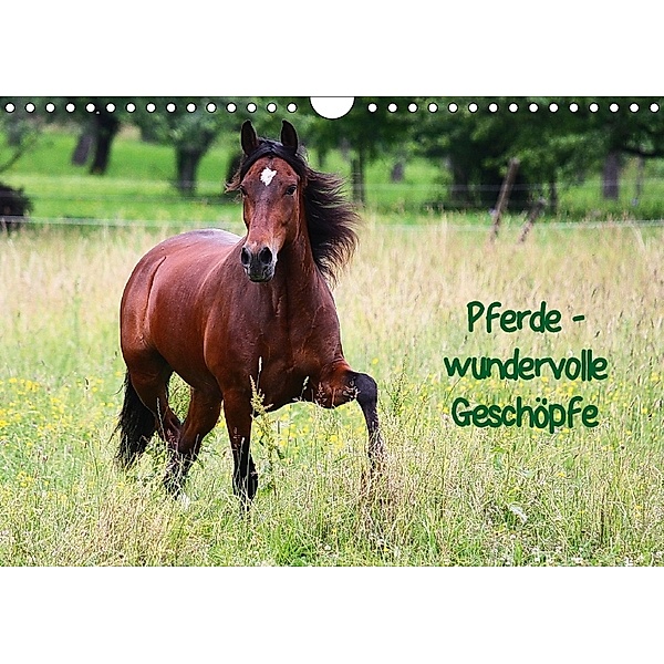 Pferde - wundervolle Geschöpfe (Wandkalender 2018 DIN A4 quer), Anja Blum