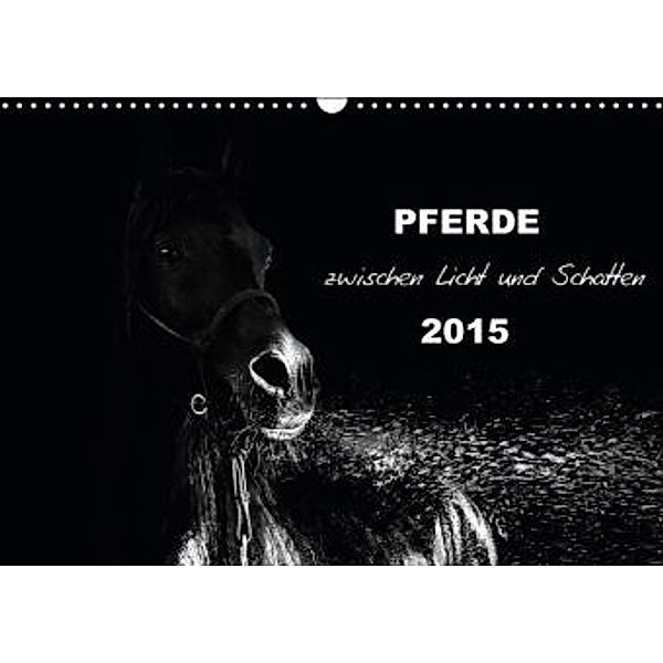 Pferde zwischen Licht und Schatten (Wandkalender 2015 DIN A3 quer), Sabine Peters Artwork & Photographie