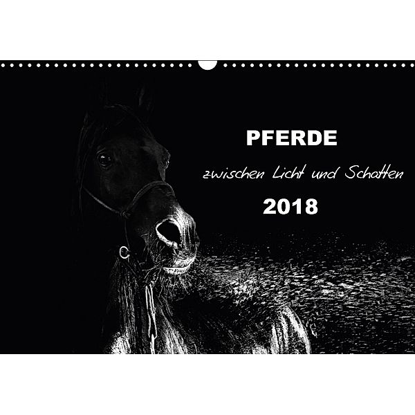 Pferde zwischen Licht und Schatten (Wandkalender 2018 DIN A3 quer), Sabine Peters