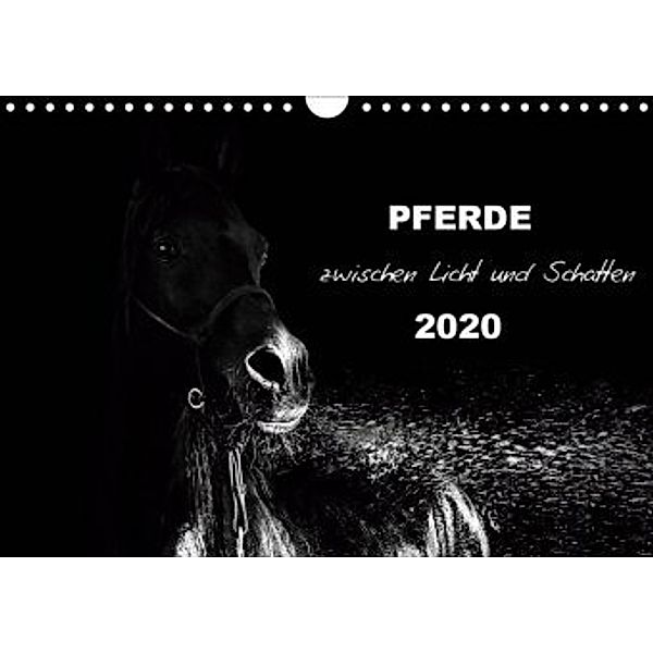 Pferde zwischen Licht und Schatten (Wandkalender 2020 DIN A4 quer), Sabine Peters