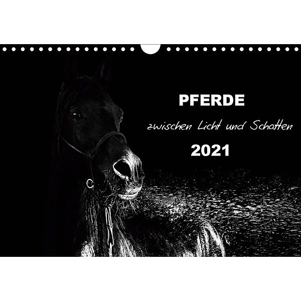 Pferde zwischen Licht und Schatten (Wandkalender 2021 DIN A4 quer), Sabine Peters Artwork & Photographie