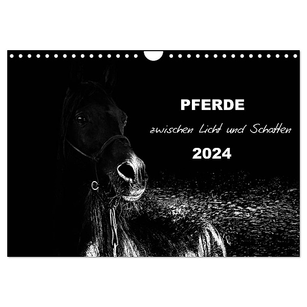 Pferde zwischen Licht und Schatten (Wandkalender 2024 DIN A4 quer), CALVENDO Monatskalender, Sabine Peters Artwork & Photographie