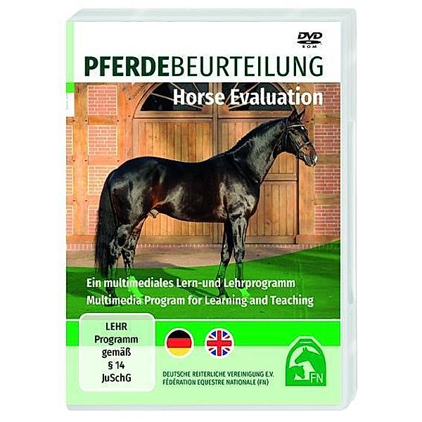Pferdebeurteilung / Horse Evaluation