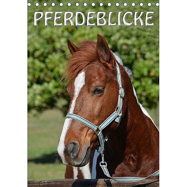 Pferdeblicke (Tischkalender 2018 DIN A5 hoch), Anke van Wyk