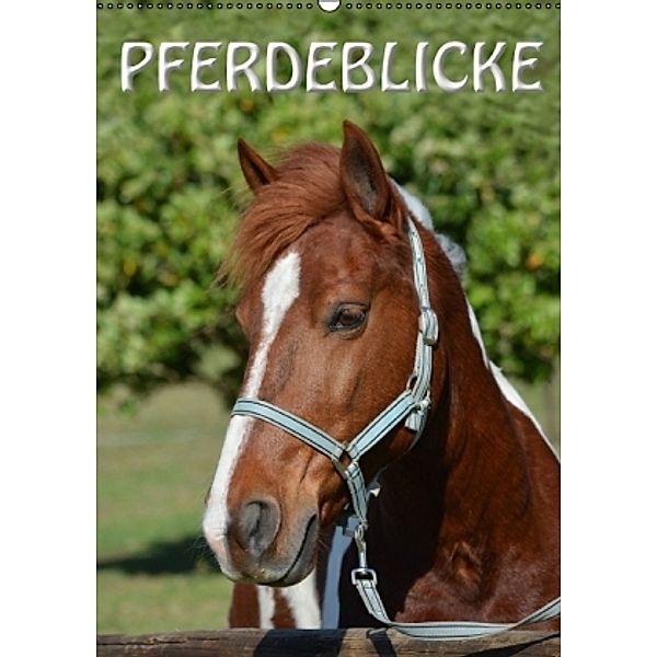 Pferdeblicke (Wandkalender 2016 DIN A2 hoch), Anke van Wyk