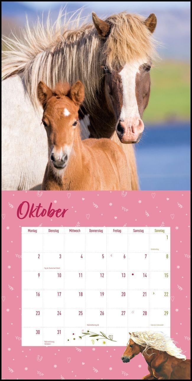 Pferdefreunde 2023 - Broschürenkalender - Kinder-Kalender - Format 30 x 30  cm - Kalender bestellen