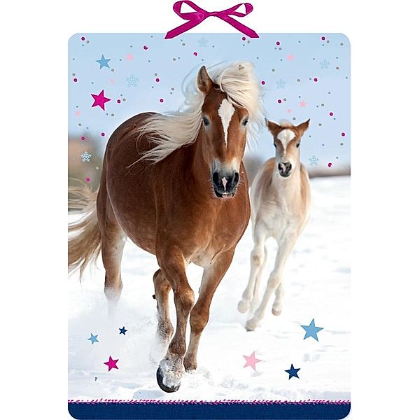 Pferdefreunde im Schnee, Wand-Adventskalender