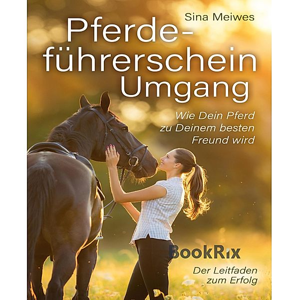 Pferdeführerschein Umgang - Wie Dein Pferd zu Deinem besten Freund wird - Der Leitfaden zum Erfolg, Sina Meiwes