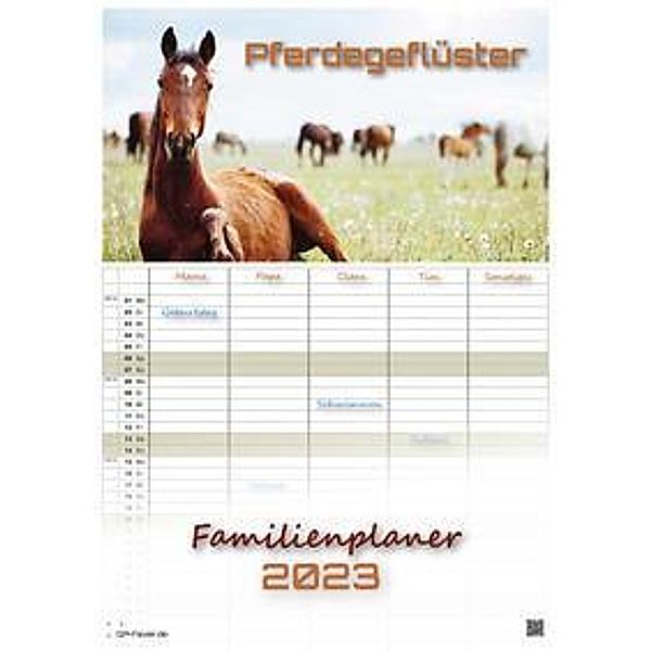 Pferdegeflüster - Der Pferdekalender - 2023 - Kalender DIN A3 - (Familienplaner)