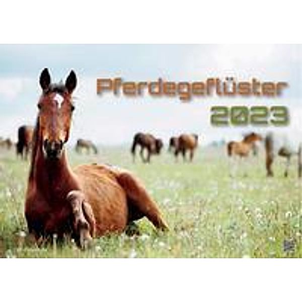 Pferdegeflüster - Der Pferdekalender - 2023 - Kalender DIN A2