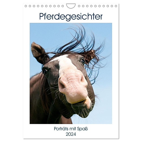 Pferdegesichter - Porträts mit Spass (Wandkalender 2024 DIN A4 hoch), CALVENDO Monatskalender, Meike Bölts