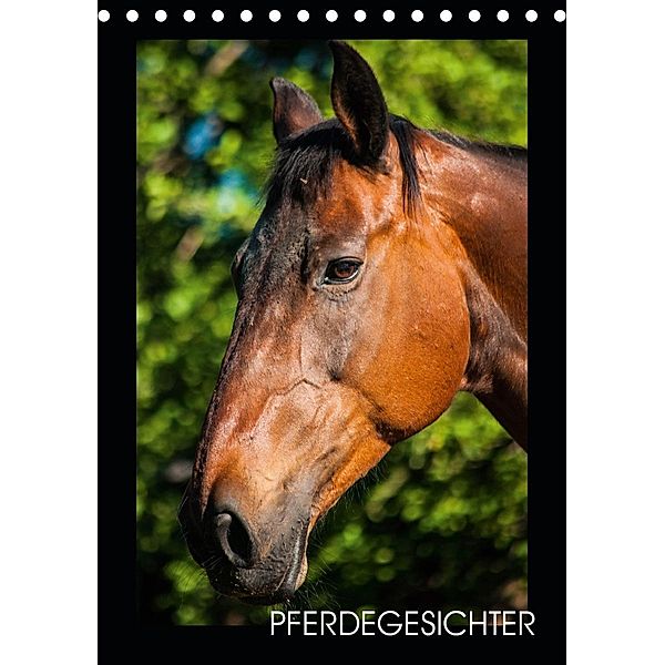 Pferdegesichter (Tischkalender 2020 DIN A5 hoch), Ula Redl
