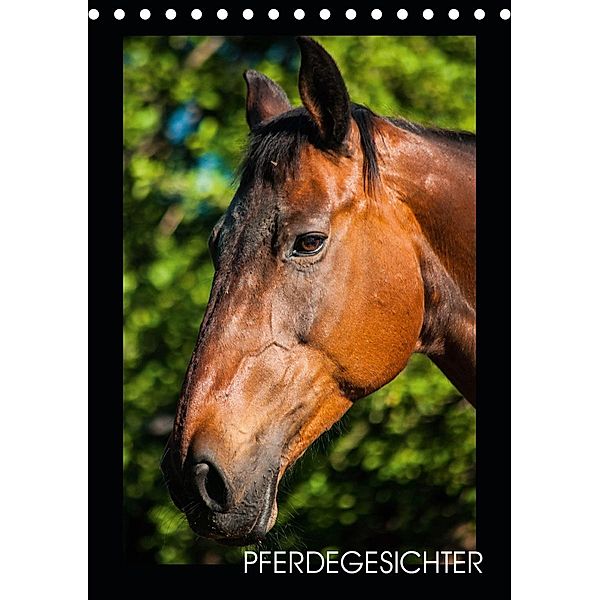 Pferdegesichter (Tischkalender 2021 DIN A5 hoch), Ula Redl