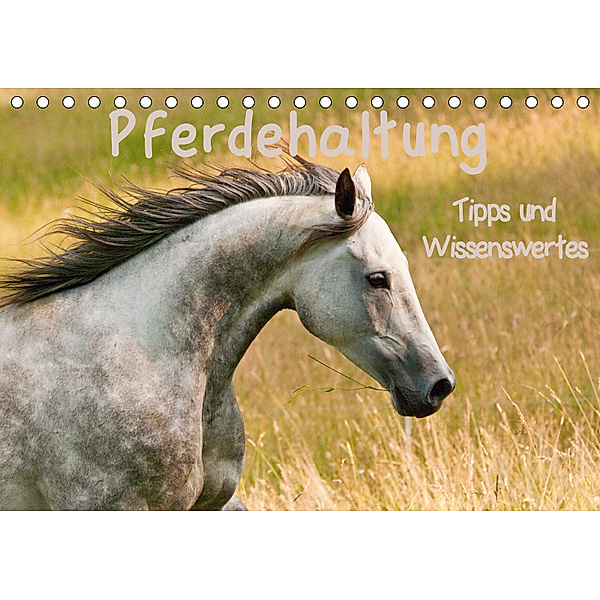 Pferdehaltung Tipps und Wissenswertes (Tischkalender 2019 DIN A5 quer), Meike Bölts