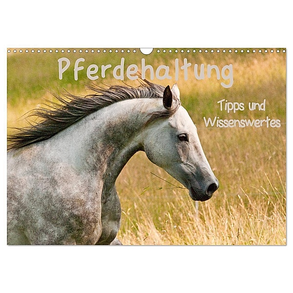 Pferdehaltung Tipps und Wissenswertes (Wandkalender 2024 DIN A3 quer), CALVENDO Monatskalender, Meike Bölts