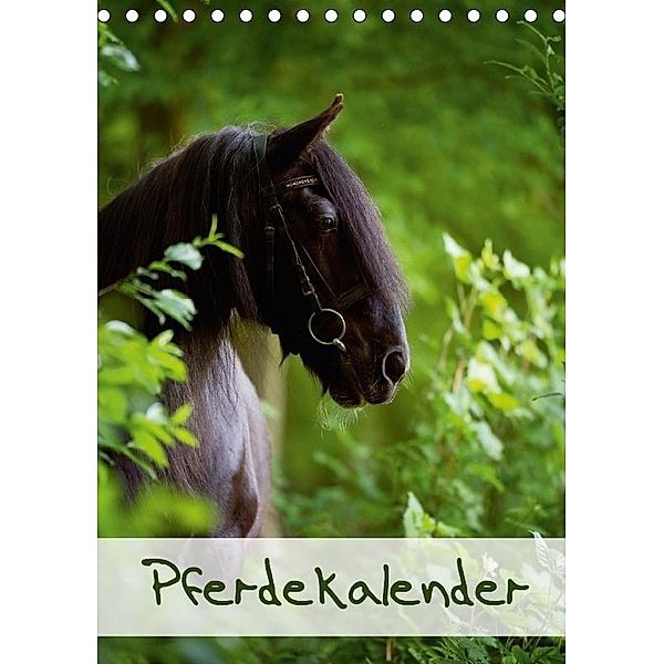 Pferdekalender (Tischkalender 2017 DIN A5 hoch), Nicole Noack