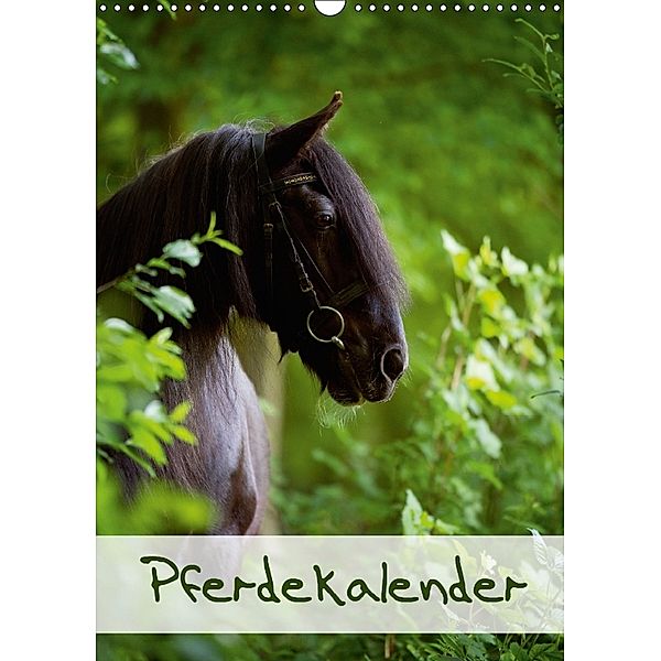 Pferdekalender (Wandkalender 2018 DIN A3 hoch), Nicole Noack