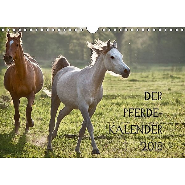 Pferdekalender (Wandkalender 2018 DIN A4 quer), Hans Zitzler