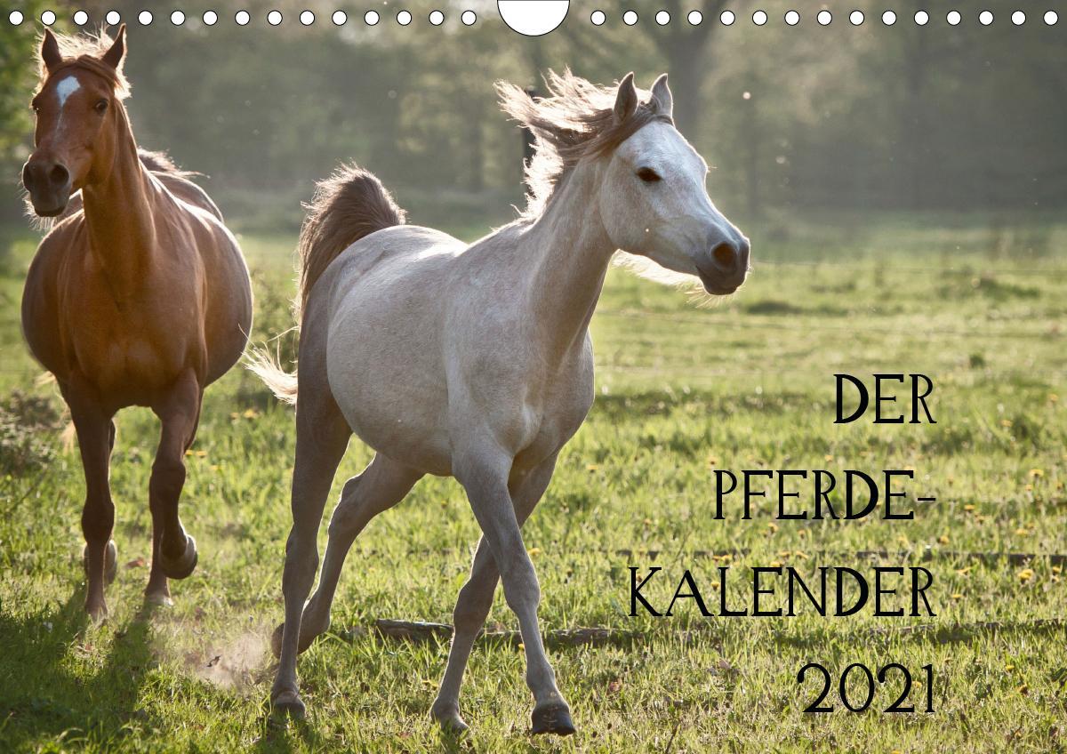 Kalender 2021 Pferde Horses schöner Fotokalender Wandkalender Geburtstag Mädchen 