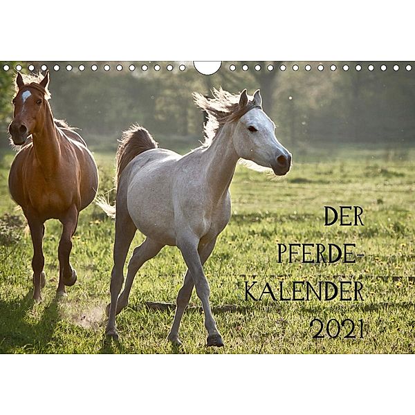 Pferdekalender (Wandkalender 2021 DIN A4 quer), Hans Zitzler