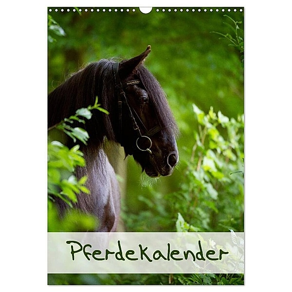Pferdekalender (Wandkalender 2024 DIN A3 hoch), CALVENDO Monatskalender, Nicole Noack