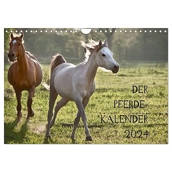 Pferdekalender (Wandkalender 2024 DIN A4 quer), CALVENDO Monatskalender, Hans Zitzler