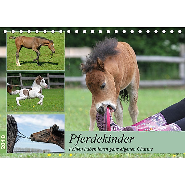 Pferdekinder - Fohlen haben ihren ganz eigenen Charme (Tischkalender 2019 DIN A5 quer), Barbara Mielewczyk